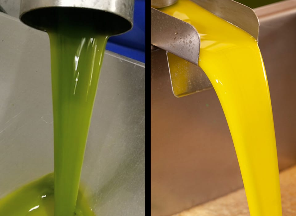 Img Aceites verdes vs aceites maduros