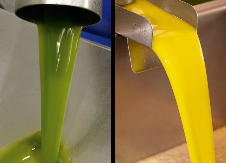 Dos chorros de AOVE. uno verde recolección temprana y otro dorado producido con aceitunas maduras