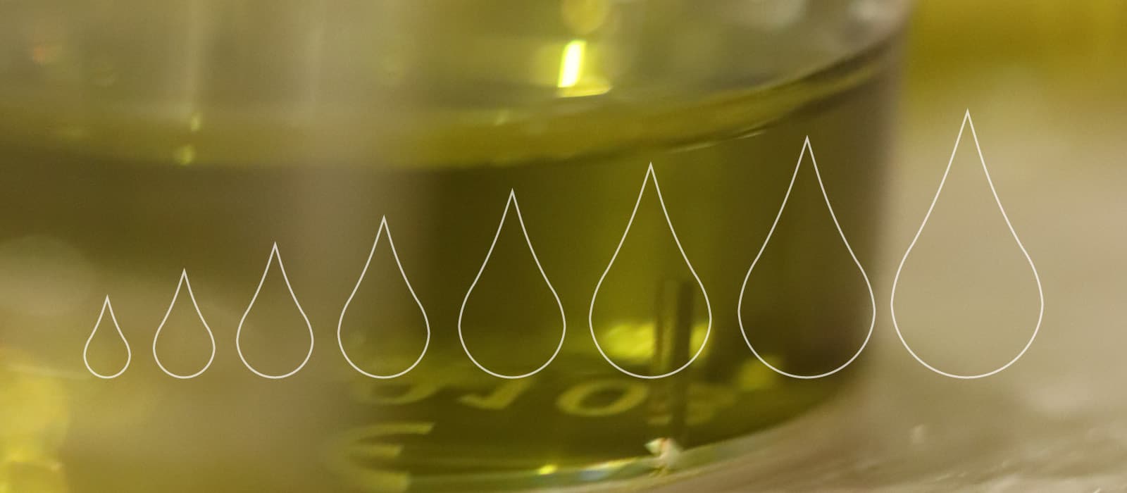 Isbilya ¿Por qué está subiendo el precio del aceite de oliva?