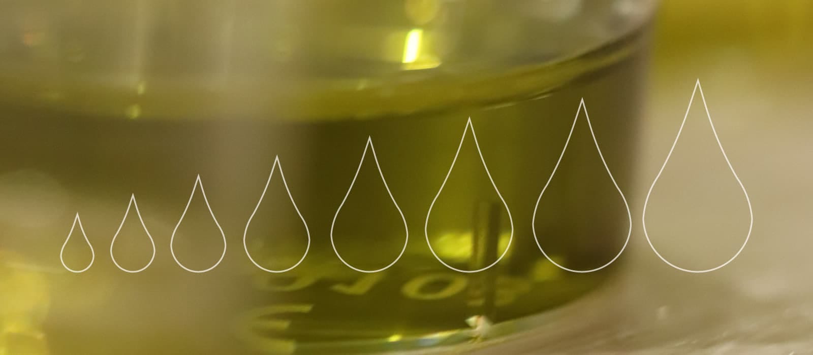 Subida del Precio del Aceite de Oliva: Causas y predicción del mercado | Isbilya