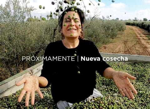 Teresa encima de un remolque lleno de aceitunas lanzándolas al aire celebrando la nueva cosecha