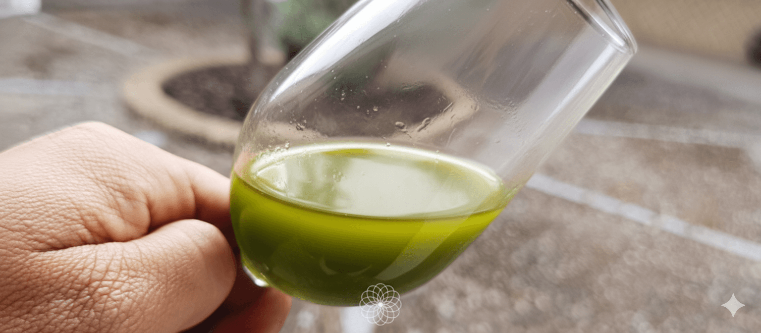 ¿Por qué zumo aceituna? | Isbilya catavino con aceite de oliva virgen extra premium sin filtrar con color verde intesnso Isbilya