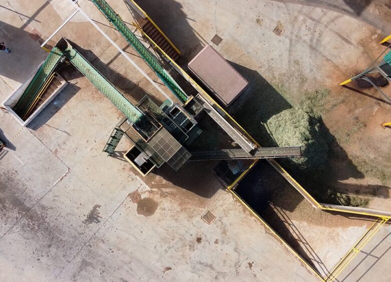 Isbilya Molturación del fruto. Estado óptimo.
