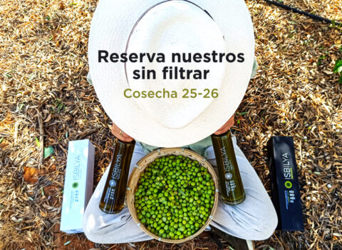 Chica con sombrero sentada en el olivar con un cesto de aceitunas y dos botellas de aceite de oliva virgen extra sin filtrar ISBILYA