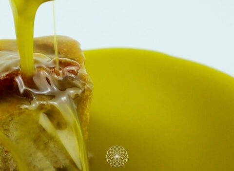 Stream of Isbilya extra virgin olive oil over a piece of bread on a white background