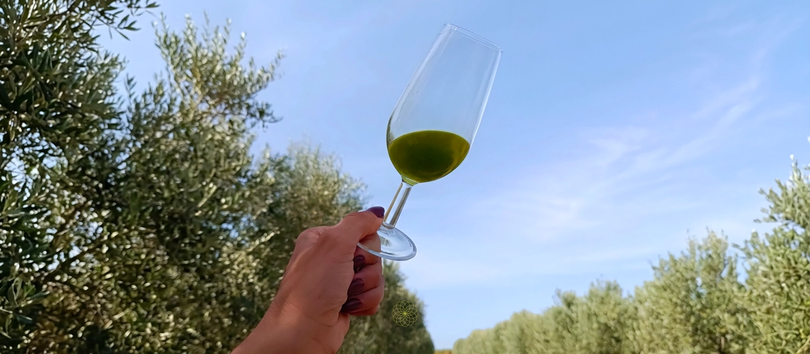 ¿Por qué el AOVE sin filtrar sabe diferente? | Isbilya Mano alzando catavino con AOVE reccien elaborado verde intenso sin filtrar con el olivar y el cielo azul de fondo